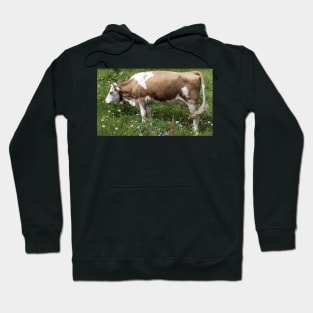 Swiss Cow Hoodie